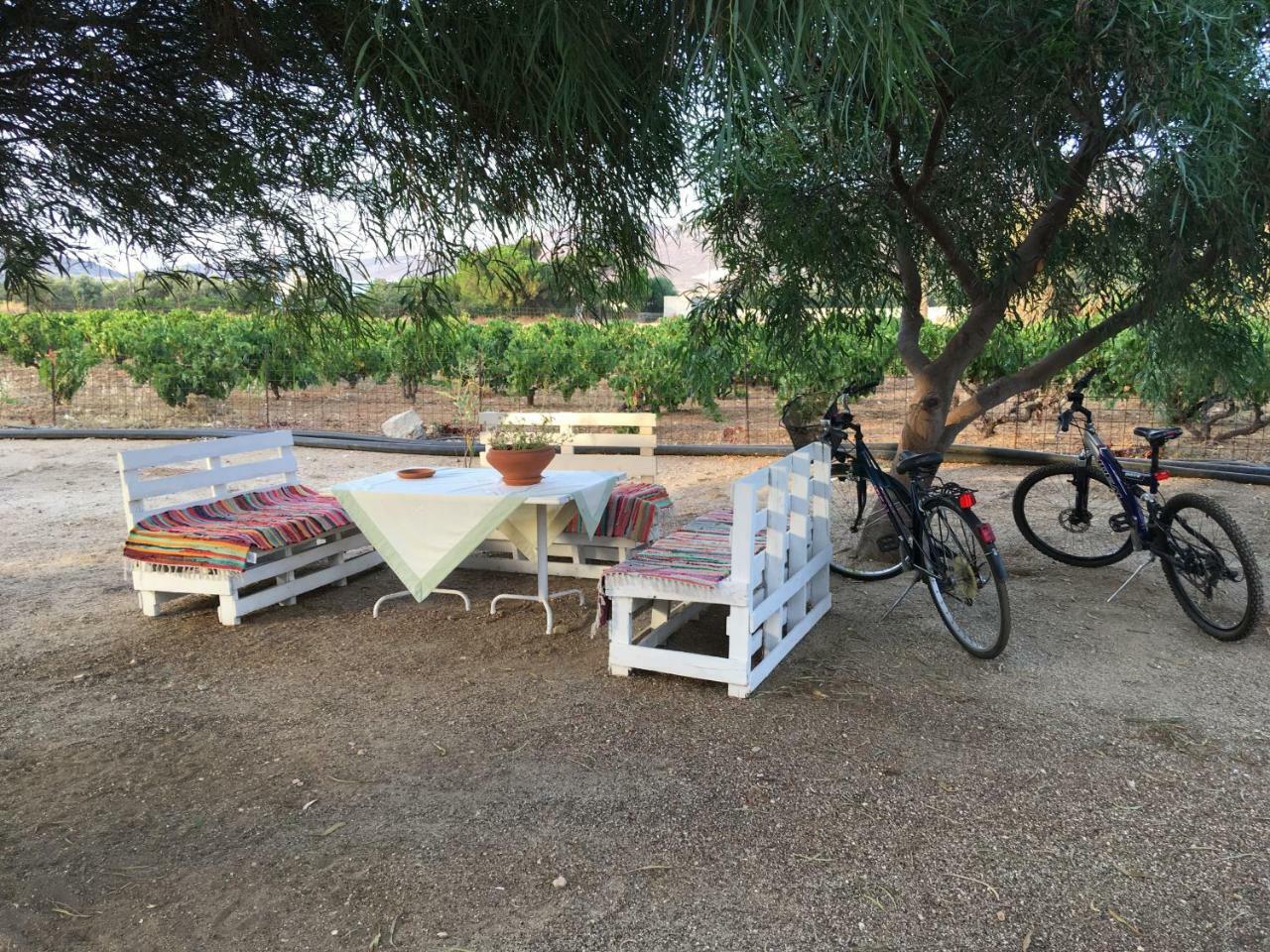 Kastrákion Bluefox Apartments מראה חיצוני תמונה